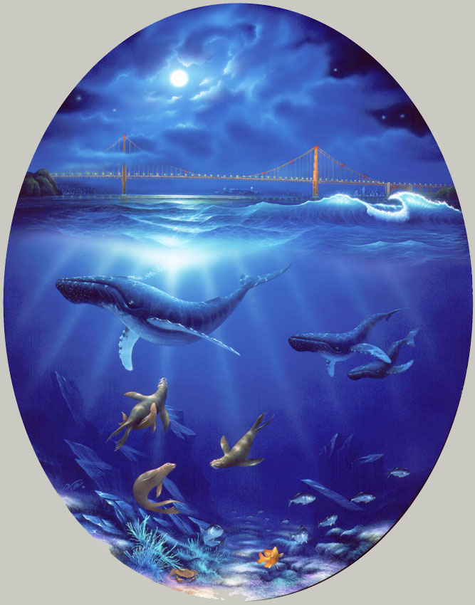 SAN FRANCISCO HUMPBACKS