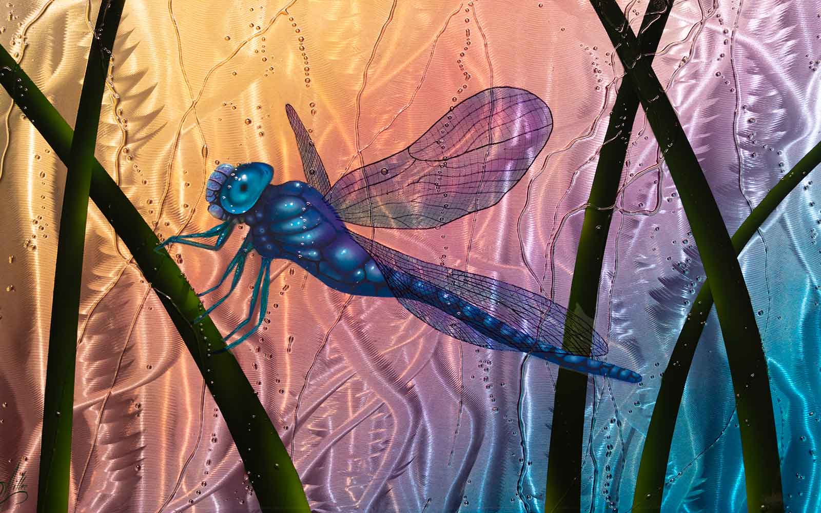 Dragon Fly painting on Metal