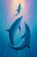 Dolphin Dreams Original Painting